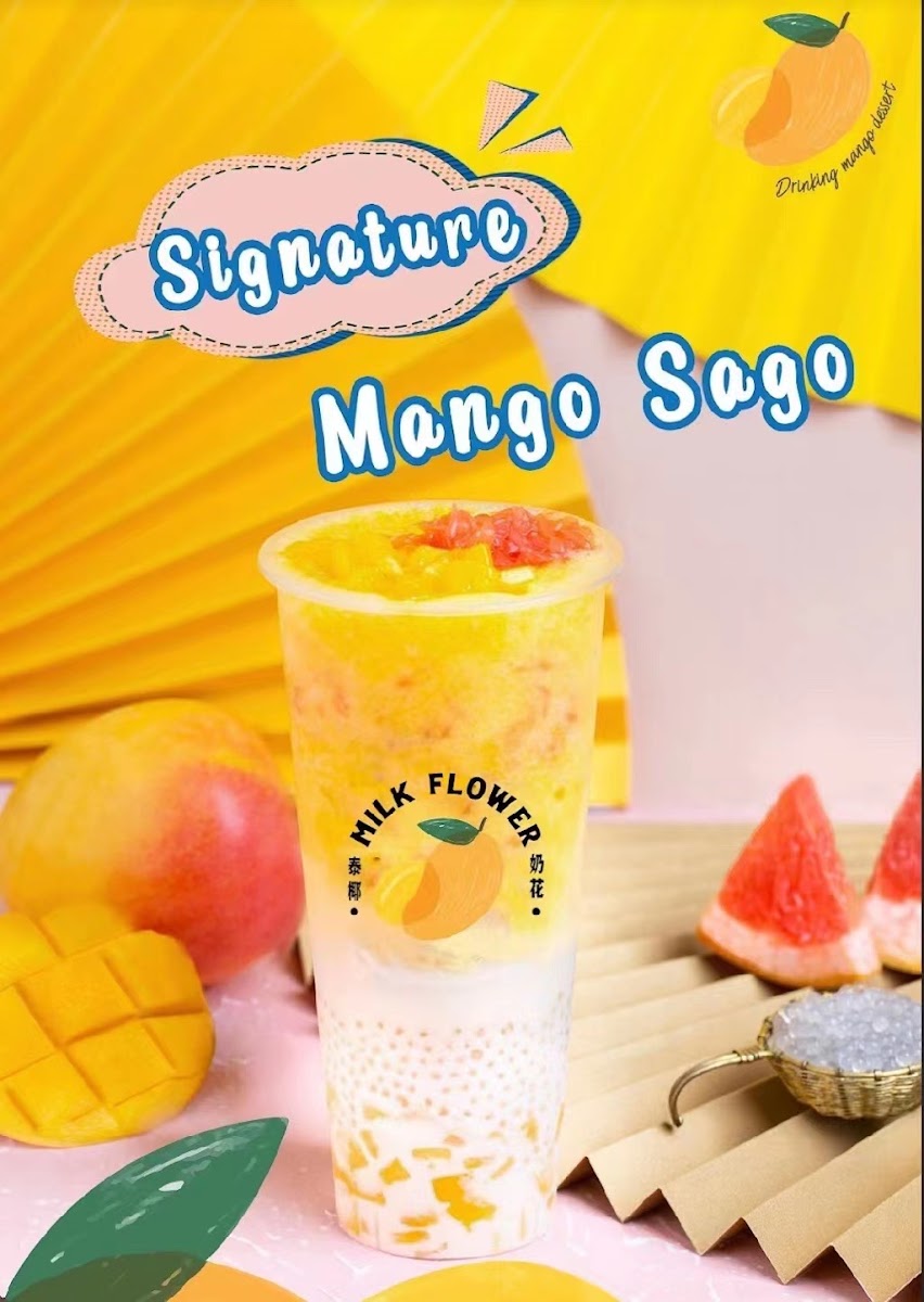 Milk Flower Photos 2